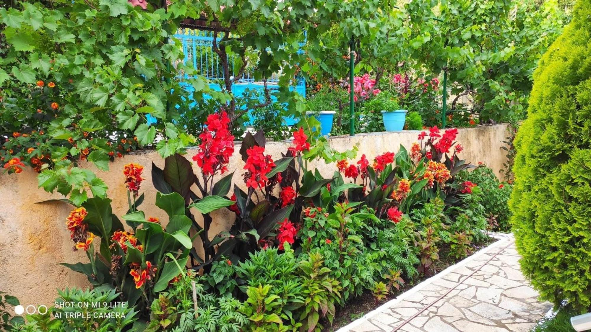 Vasil Rooms Lukove Ngoại thất bức ảnh